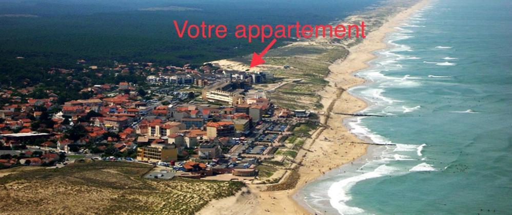 Superbe T3 Les Pieds Dans L'Eau, Parking, Piscine En Ete Lejlighed Lacanau Eksteriør billede